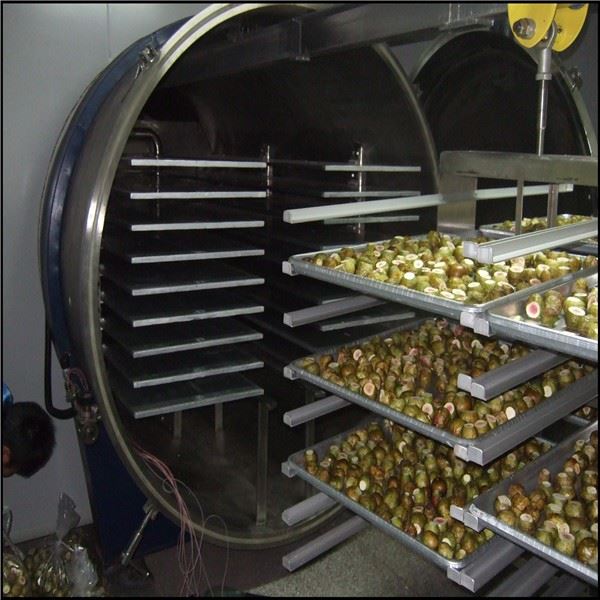 Industrial large freeze dryer Industrial large freeze dryer