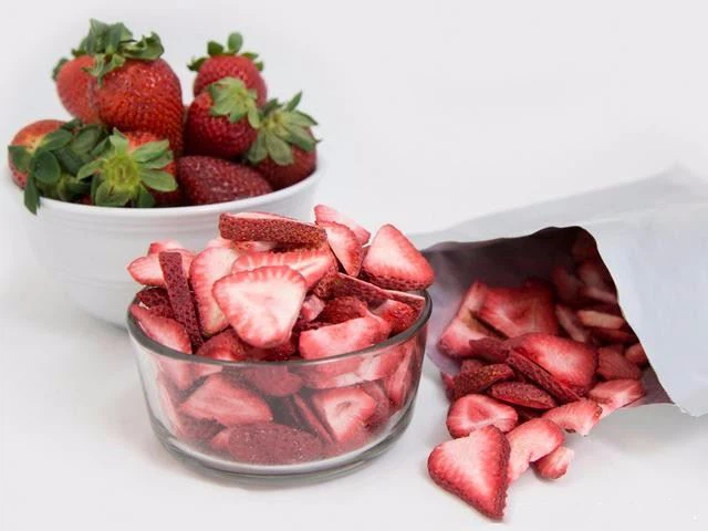 China Vacuum Food Freeze Dryer