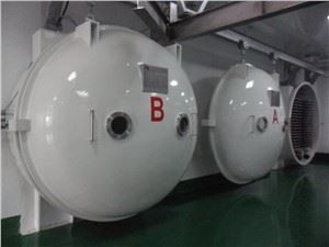 Mesin Pengolah Makanan Pengering Beku Buah Industri