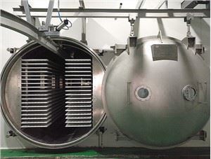 Mesin Pengering Beku Medis dan Buah