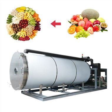 Mesin Pengering Beku Makanan Vakum Desain Baru